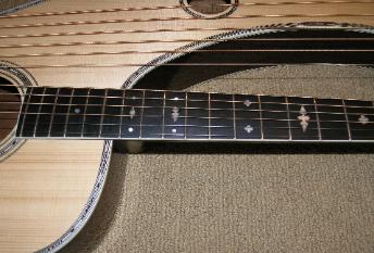 Dyer Style 7 harp guitar