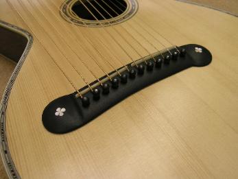 Dyer Style 7 harp guitar